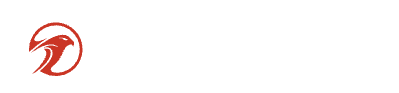 Falcons.ai